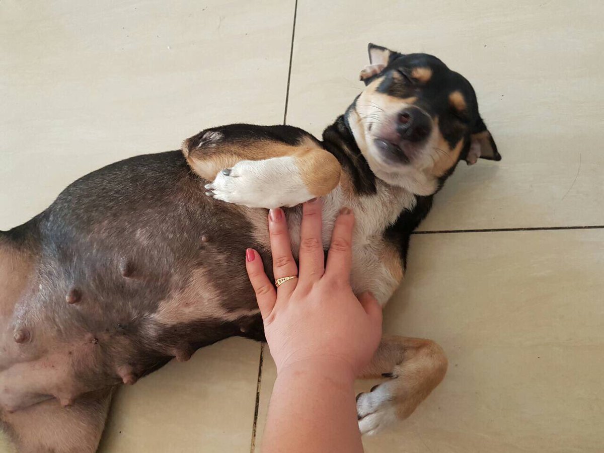 aaayna's tweet photo. Manang sent a photo of my baby back home I'm melting https://t.co/ZJ8VOQdLf1