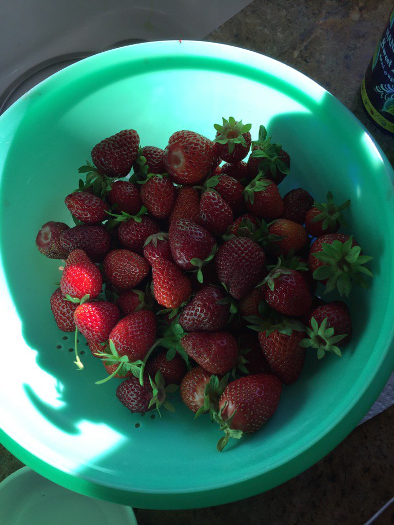 A few strawberries from the garden...