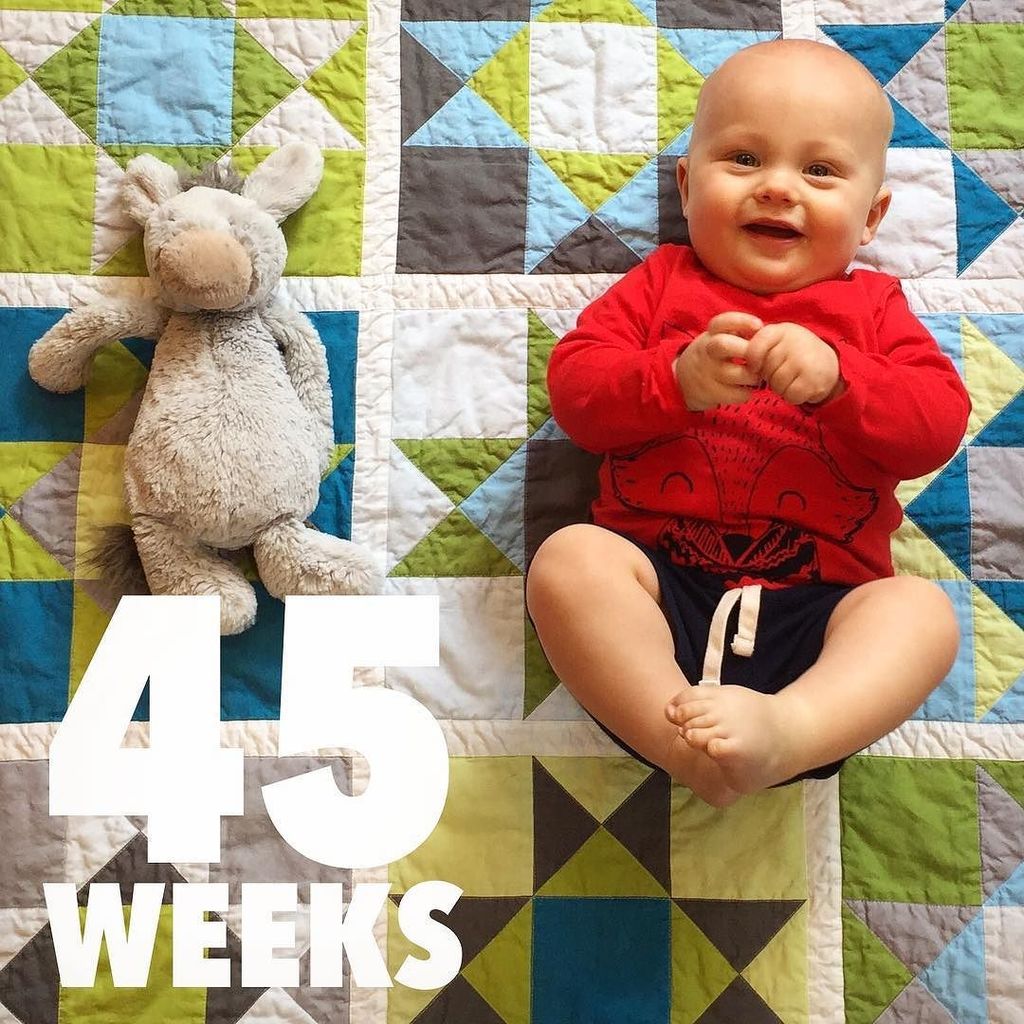 mgrassick's tweet photo. Even a fever of 103 couldn't keep the wee man down this week. He just bounced back twice as strong! #45WeeksOld #O… https://t.co/V8IOEbVuxL https://t.co/WOmzphICLb
