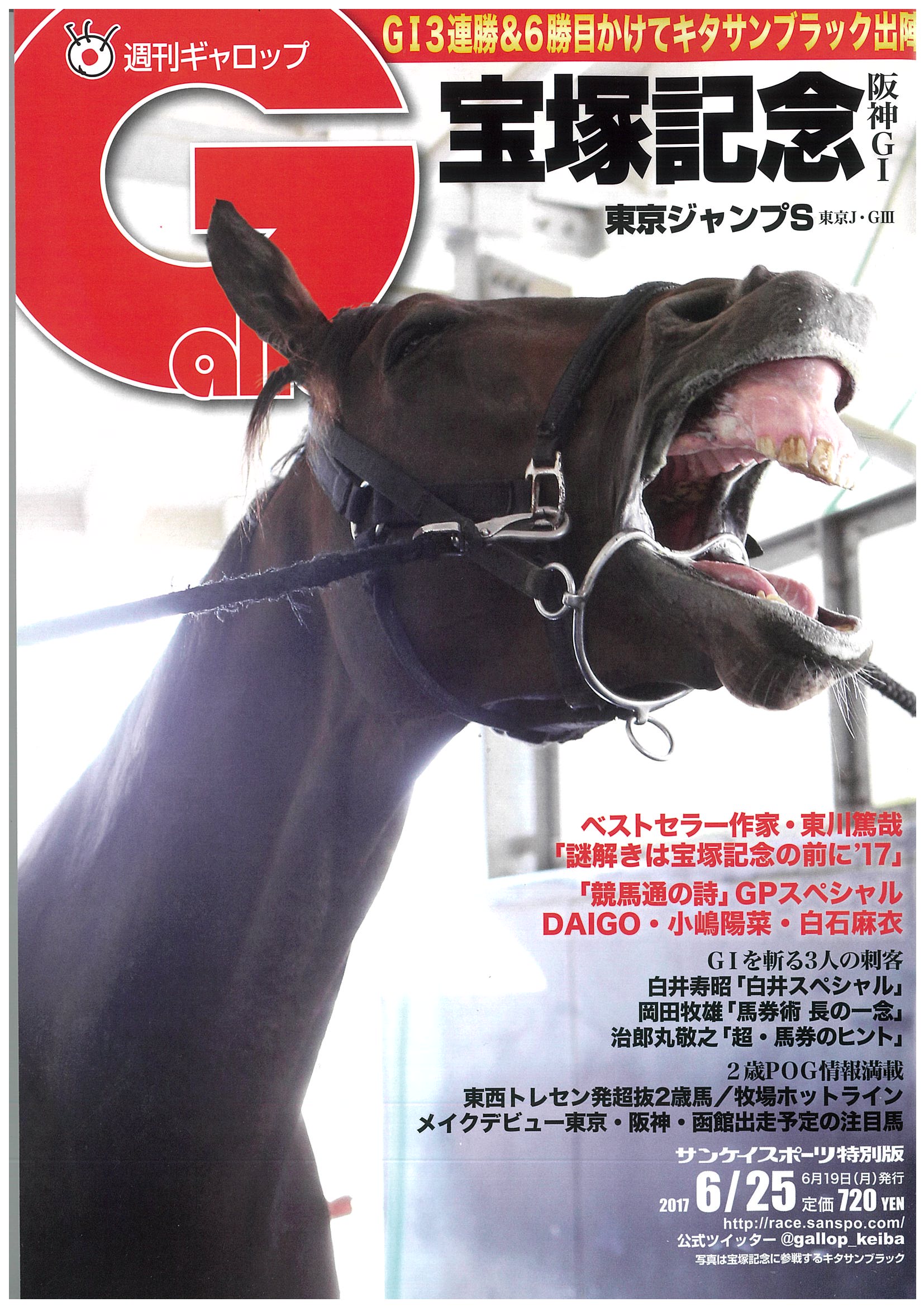 週刊ギャロップGallop 第35回宝塚記念1994年ビワハヤヒデ パネル