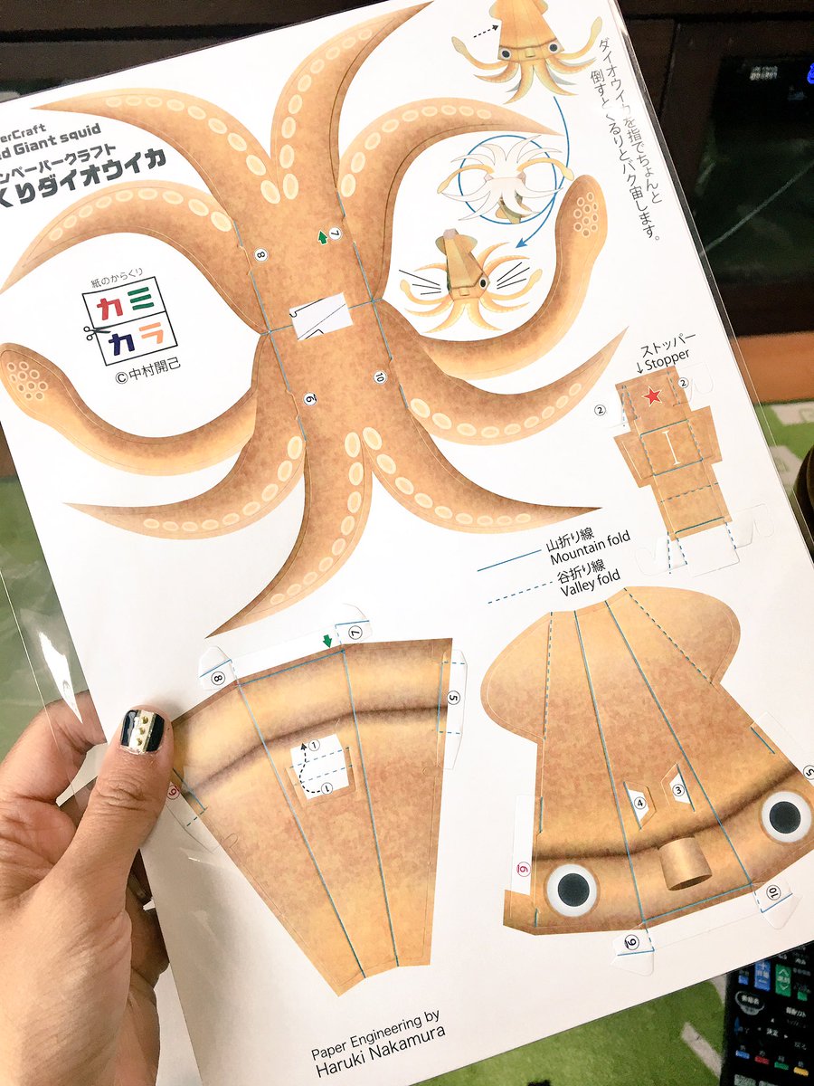 買ったもの→
ビンテージの貝ボタンを加工したピアス!最終日だからって計1000円安くしてくれた。でも清水の舞台から飛び降りる気で買った
カミカラさんのイカ
塩分20%の梅干し!スーパーに売ってないしょっぱ酸っぱさで私が食べたかったのはこんな梅干しやったんや…!って感じ美味い 