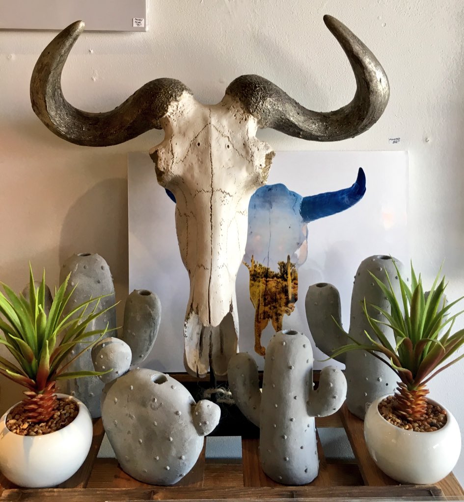 Kindred_Shop613's tweet photo. Feeling the heat these past few days? #cactus #skull #palmtree #cactuscandlesticks #ottawaphotography #ott2017 https://t.co/cF3lI9RKuv