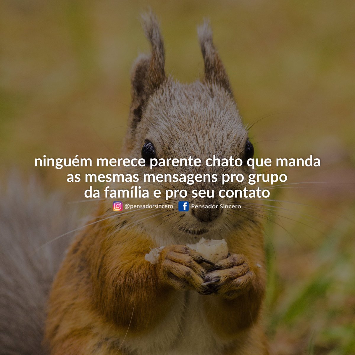 Pensador Sincero tweet media