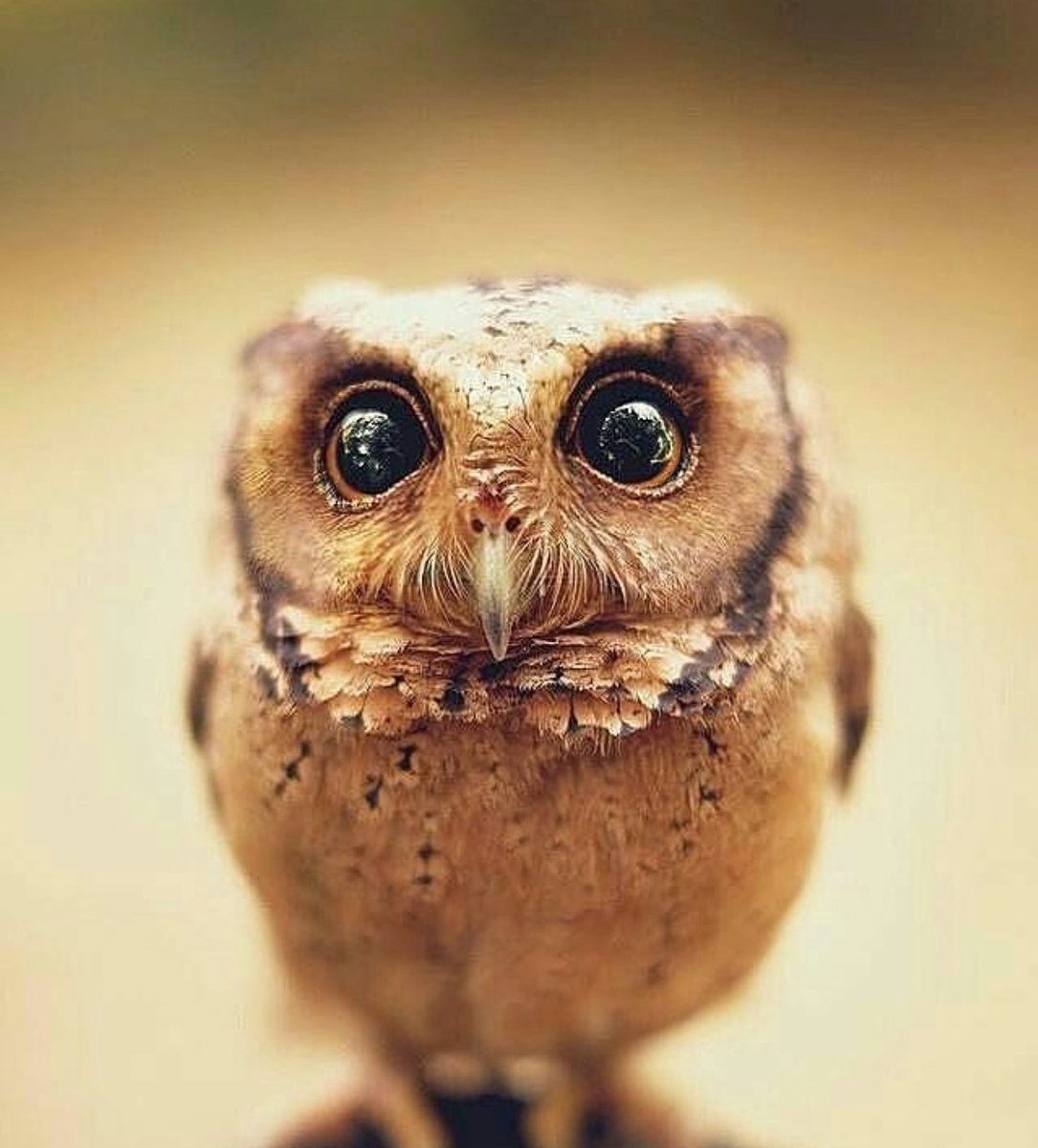 NatureOnPoint's tweet image. 