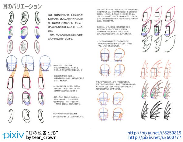 Pixivision 耳の描き方や さまざまな角度から見た耳のイラストをご紹介するっぴ 柔らかくて形がいい耳が描けるように ぜひ意識してみてくださいっぴ 耳の描き方講座6選 人物からエルフ耳まで T Co 5xbmp5upsf T Co U5tjbzl19c Twitter