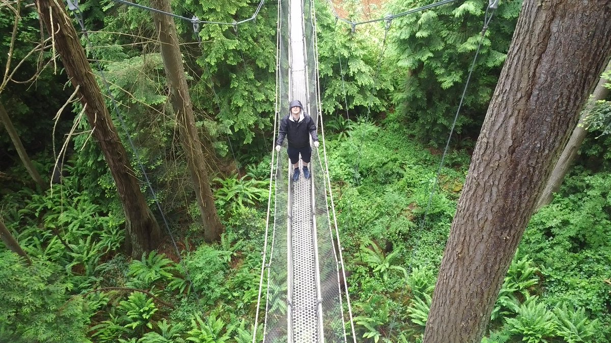hanxpower's tweet photo. A beautiful and peaceful walk in nature #UBCtreewalk @ubctreewalk #Canada150 @AirCanada https://t.co/lt4eRzSB6D