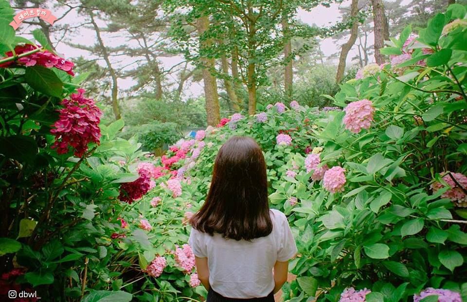 Joah 韓国トレンド情報サイト 韓国女子が撮る 花と自分のショットが上手で 撮影の参考になります インスタ映え 韓国女子 韓国情報 ジョア Joah フォトジェニック