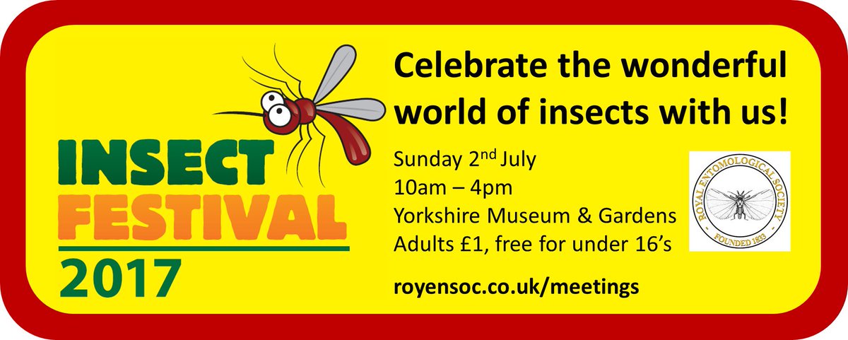 RoyEntSoc's tweet image. Come and join us for a fun family day all about insects! Sunday July 2nd, 10am - 4pm, York Museum gardens and Hospitium.