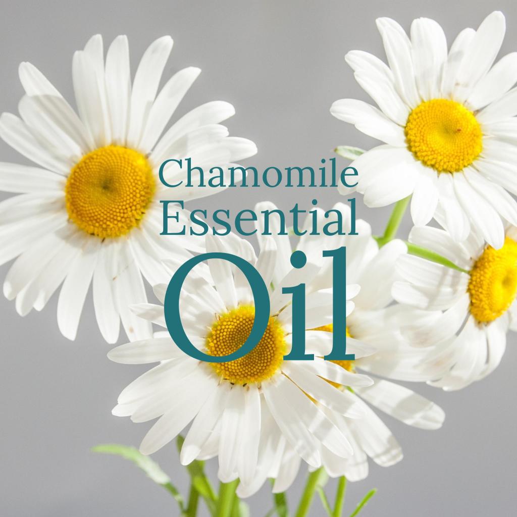 aromaliving's tweet image. Top Essential Oils to Help with Anxiety, with Blends &amp;amp; Recipes anaturalperspective.ca/2017/06/top-es…