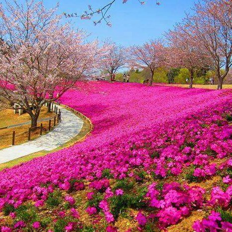 Laitat_vip (@laitat_vip) on Twitter photo 