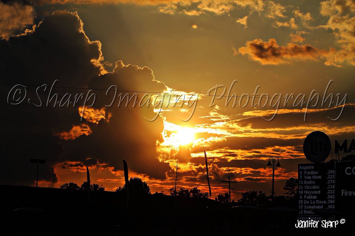 Sharp Imaging Photography tweet media