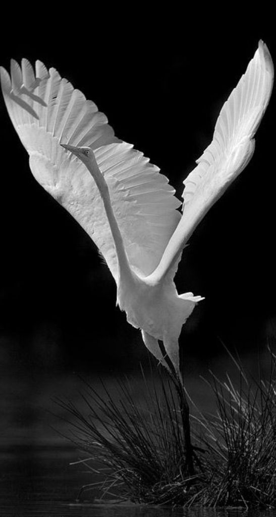 Emma Gouda Emam Goud tweet media