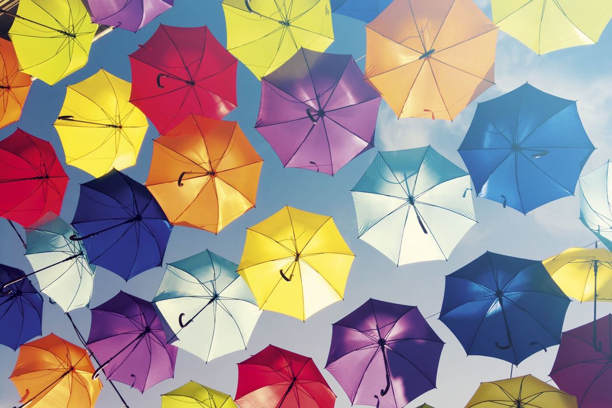 jzfarooq07's tweet image. Colors of life. #ColorOfDiscovery