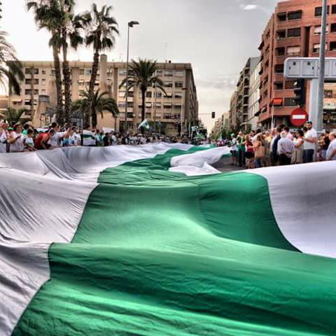 Elche Crew tweet media