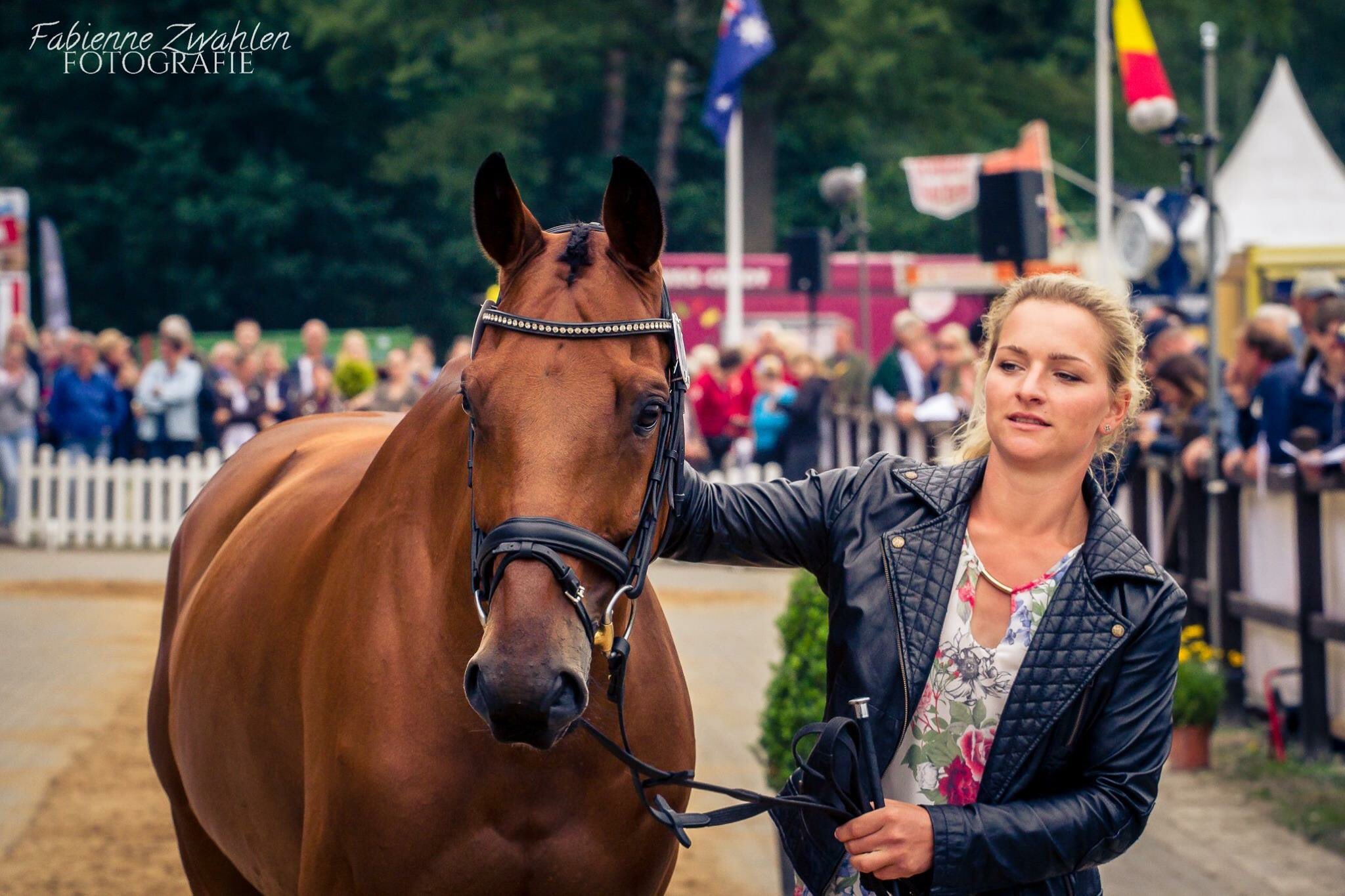 Julia Krajewski On Twitter Look At This Little Horse 4 Winner Horse Of A Lifetime Coolest Horse On The Planet Samouraiduthot Supersam Beyondgrateful Https T Co Ck8p6xbowg