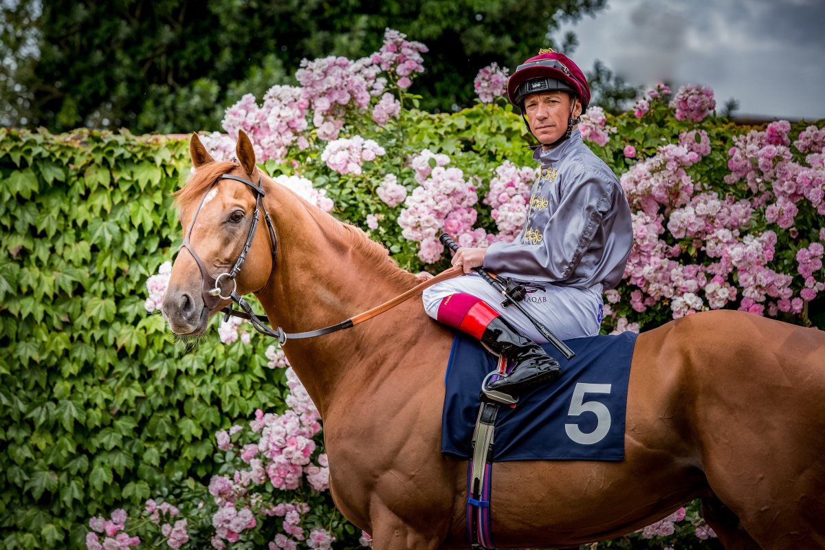 Al Shaqab Racing (@alshaqabracing) on Twitter photo To celebrate Royal Ascot week, here is an exclusive pic of St James's Palace St. G1 wnr #GalileoGold posing with <a href="/FrankieDettori/">Frankie Dettori</a>! To celebrate Royal Ascot week, here is an exclusive pic of St James's Palace St. G1 wnr #GalileoGold posing with <a href="/FrankieDettori/">Frankie Dettori</a>!