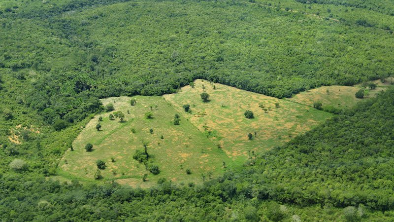 ClimateHome's tweet photo. Brazil prepares to grant land rights to criminals who stripped Amazon: https://t.co/V04s5OPtvN https://t.co/5ECDTy2edT