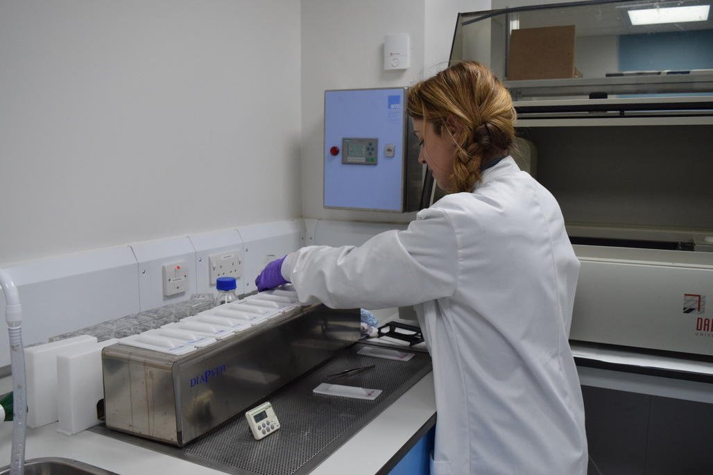 royalmarsdenNHS's tweet image. Research developments have seen many more women survive their primary breast cancer. More on our research: bit.ly/2qTnKfr