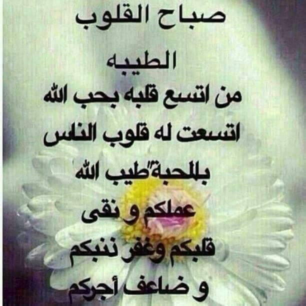 Retajabd's tweet photo. #صباح_الخير https://t.co/8CV5UZXXEq