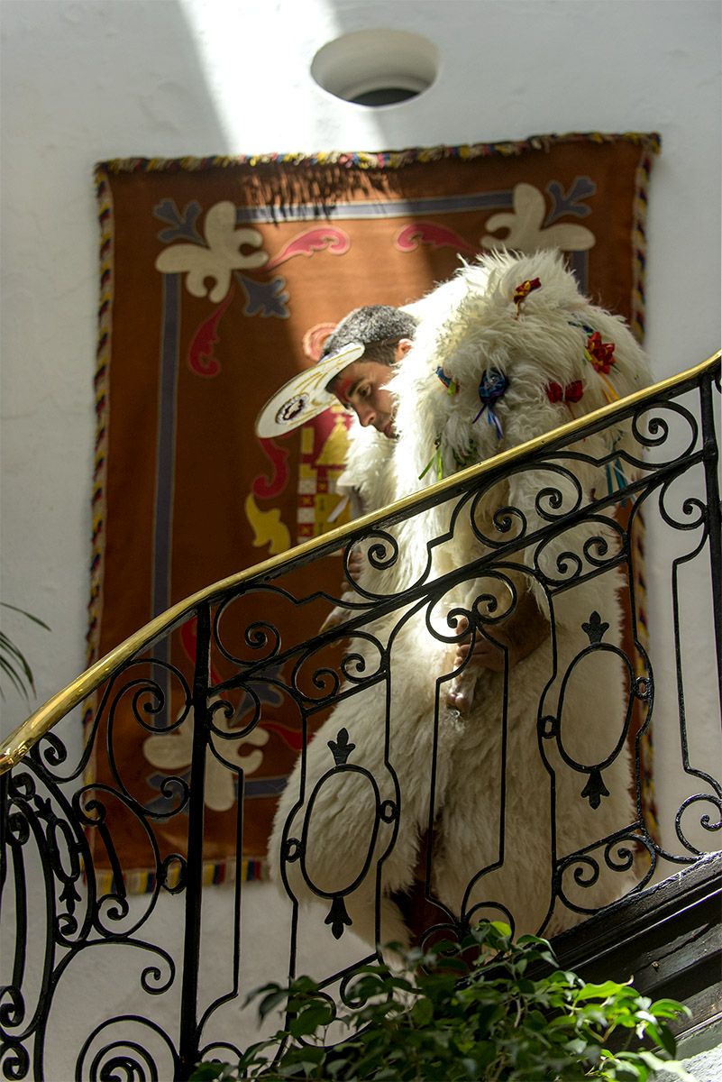 Es meu germà Lau va ser Sant Joan Baptista. Ahir fou un dia gloriós per sa família Florit Campins. #Santjoan2017
Foto: <a href="/paugenertorres/">pau</a>