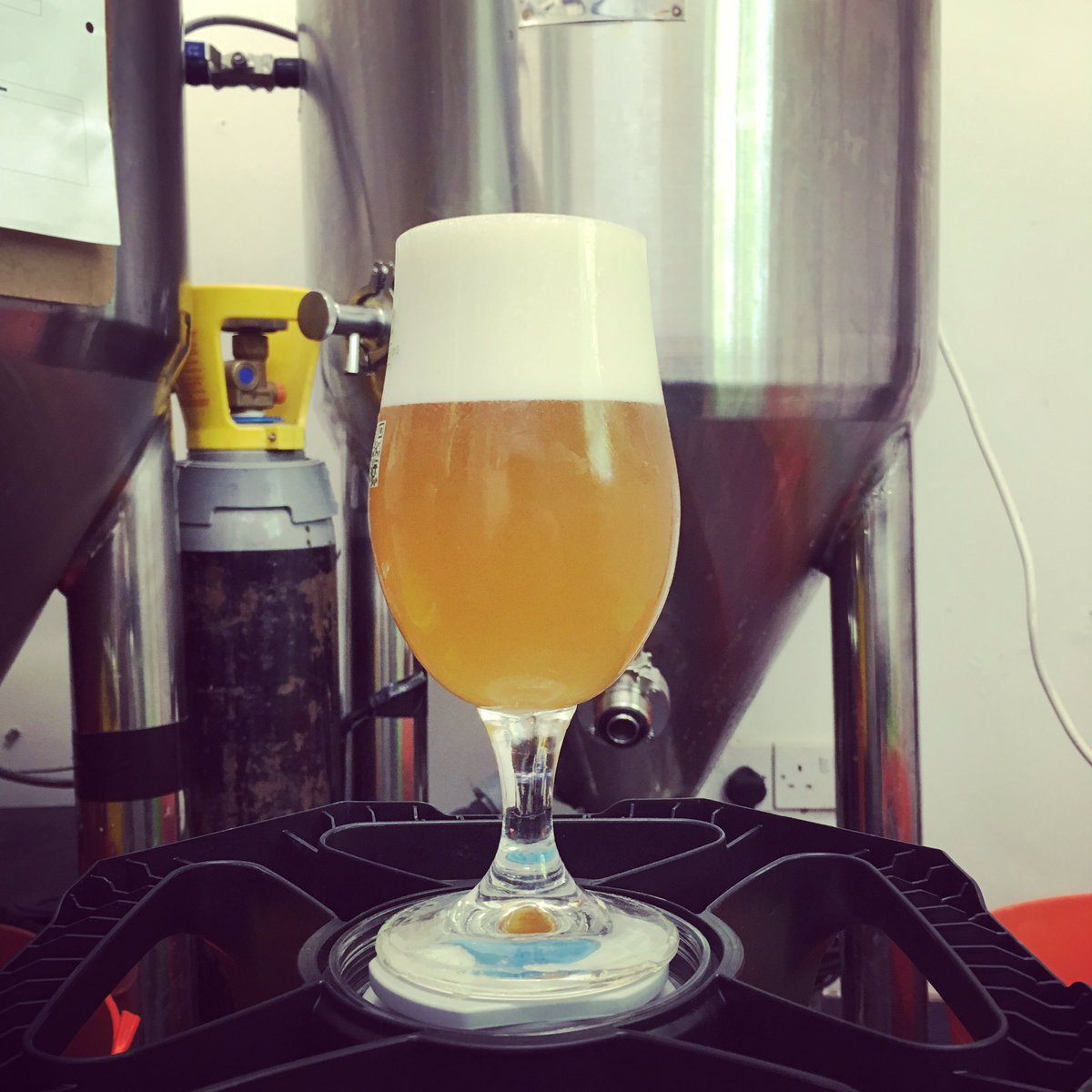 BeercraftBTN's tweet photo. Kegging Pale Citra Mosaic
2nd dry hop on new Pale Citra Mosaic
Brewing Pale Chinook Citra https://t.co/bEjNW0tTt2