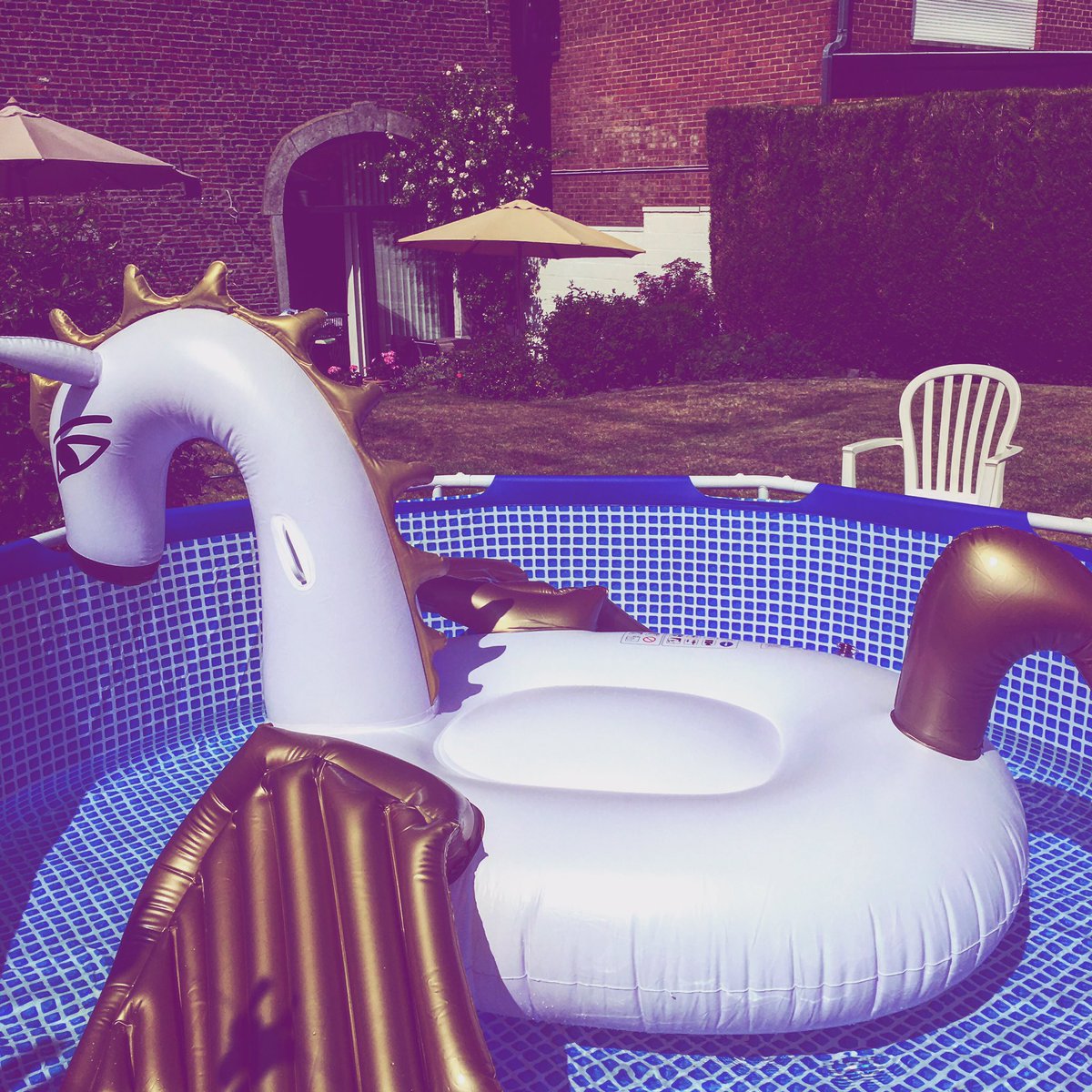 Juliette_thiry's tweet photo. Holidays odor🦄☀️
#june #sun #water #swimmingpool #unicorn #weather #tweetaday https://t.co/LtnaDT41iz