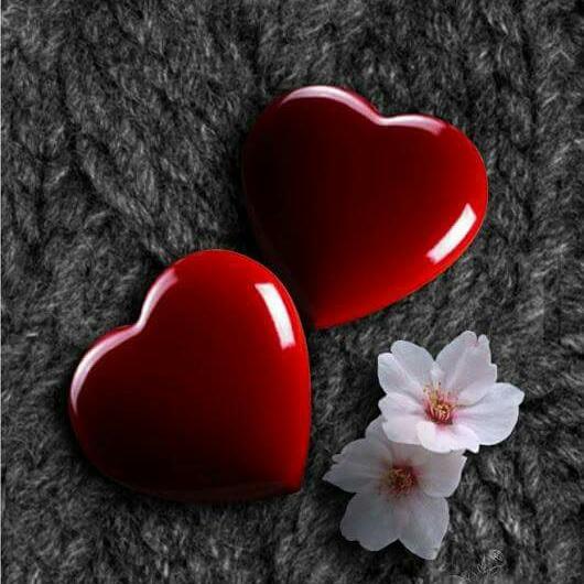 BalliuEda's tweet photo. #NewProfilePic https://t.co/uaCz68RqXn