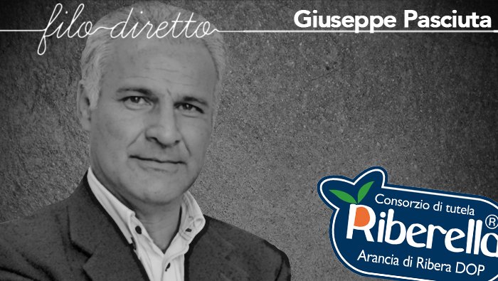 <a href="/DopRibera/">Arancia Ribera Dop</a> #navel #qualità #export #produzione #crescita Pasciuta: Tutto a rischio per perdite dell'acquedotto  bit.ly/2tjffIj