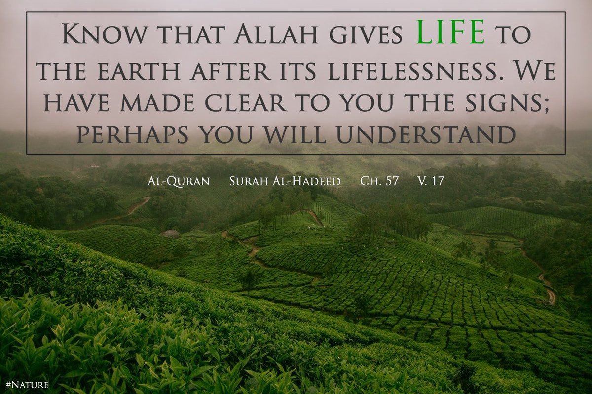 TonyStarkLK's tweet photo. #DailyVerse #AlQuran #SurahAlHadeed #Nature #Ramadan2017 #Day24 https://t.co/FtWHqzDvop