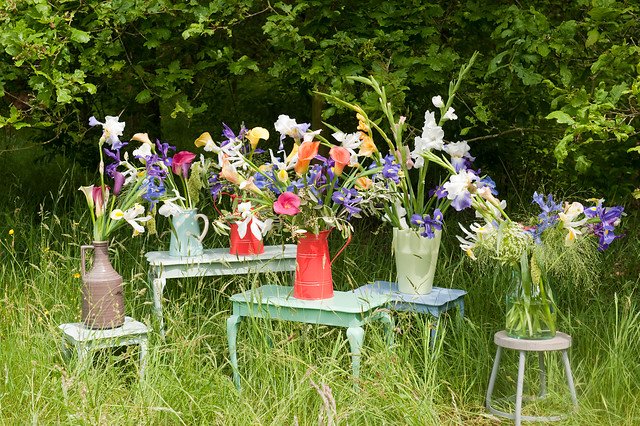 FlowerbulbsCom's tweet photo. For a summer wedding in the open air, the natural choice would be seasonal flowers https://t.co/2dPqeDlLnX