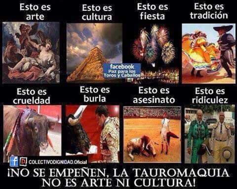 josguema's tweet photo. NO ES ARTE 
NO ES CULTURA 
NO ES FIESTA 
NO ES TRANDICIÓN 
ES UN "ESPECTACULO" ABERRANTE, EL HACER SUFRIR A UN ANIMAL... 
 #IvanFandiñoEP https://t.co/2scSjiIzKc