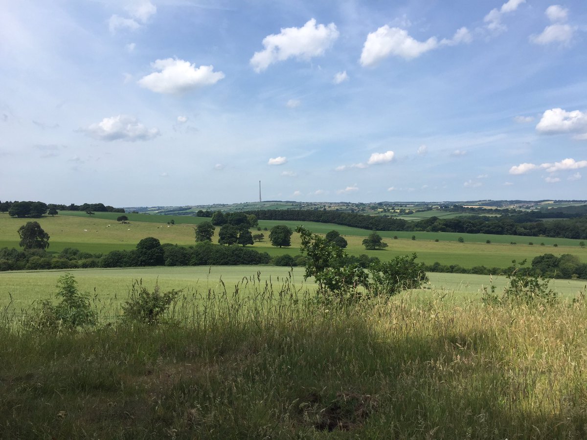 HornshawMrs's tweet photo. Great day at Yorkshire Sculpture Park - not a bad view for lunch! @BoothferryPS https://t.co/3H9TxMwXui