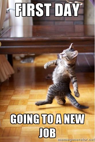 putnamprek's tweet photo. #firstdayofnewjob #preschool #teacher #Butterflies https://t.co/enElCC1N2W