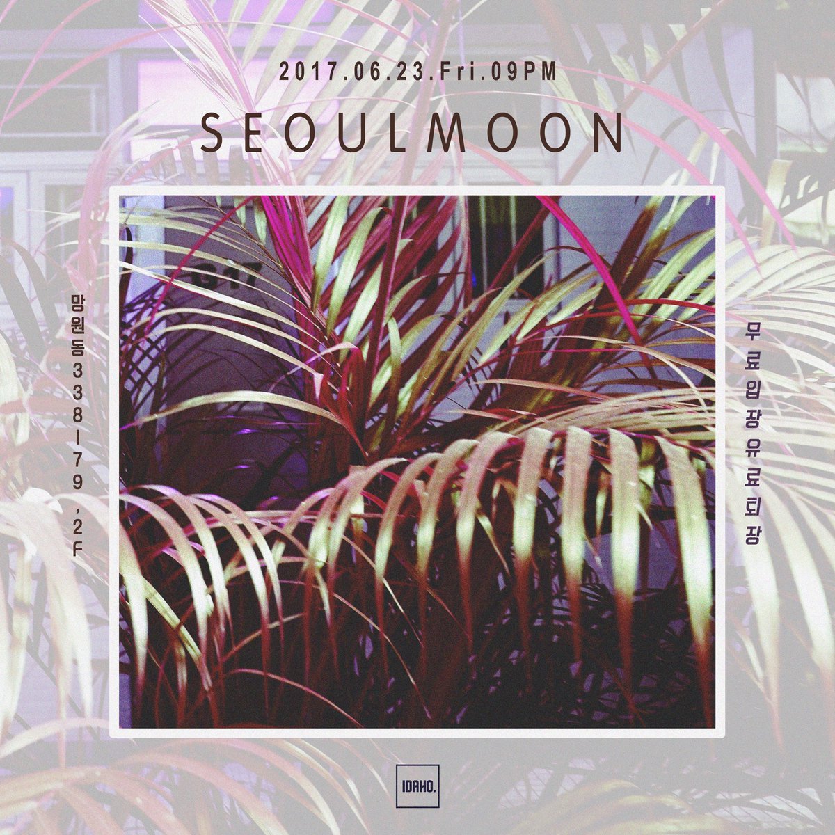 서울문(Seoulmoon) tweet media