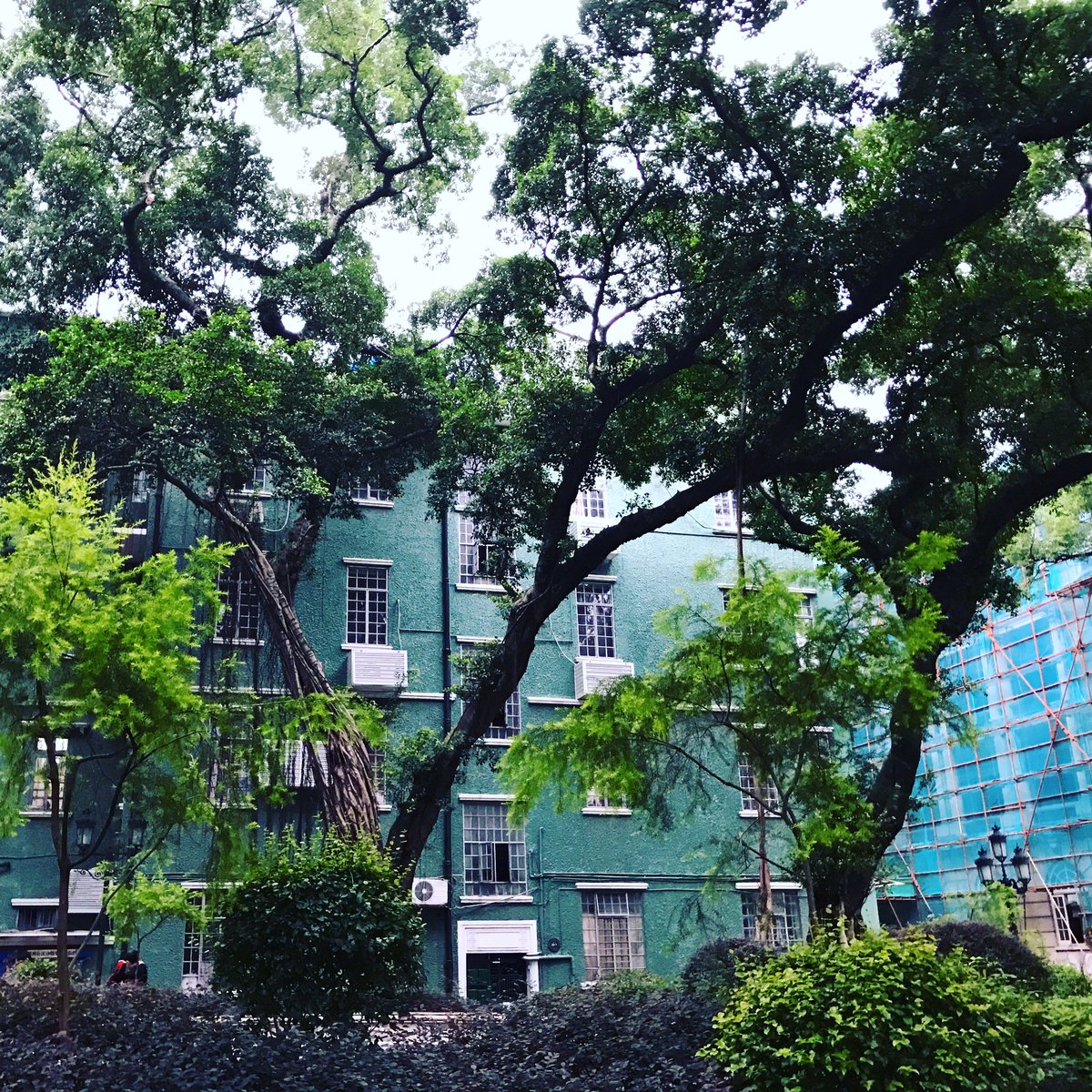 CasperSL's tweet photo. Weekend at Guangzhou https://t.co/f2jUMQKwfo