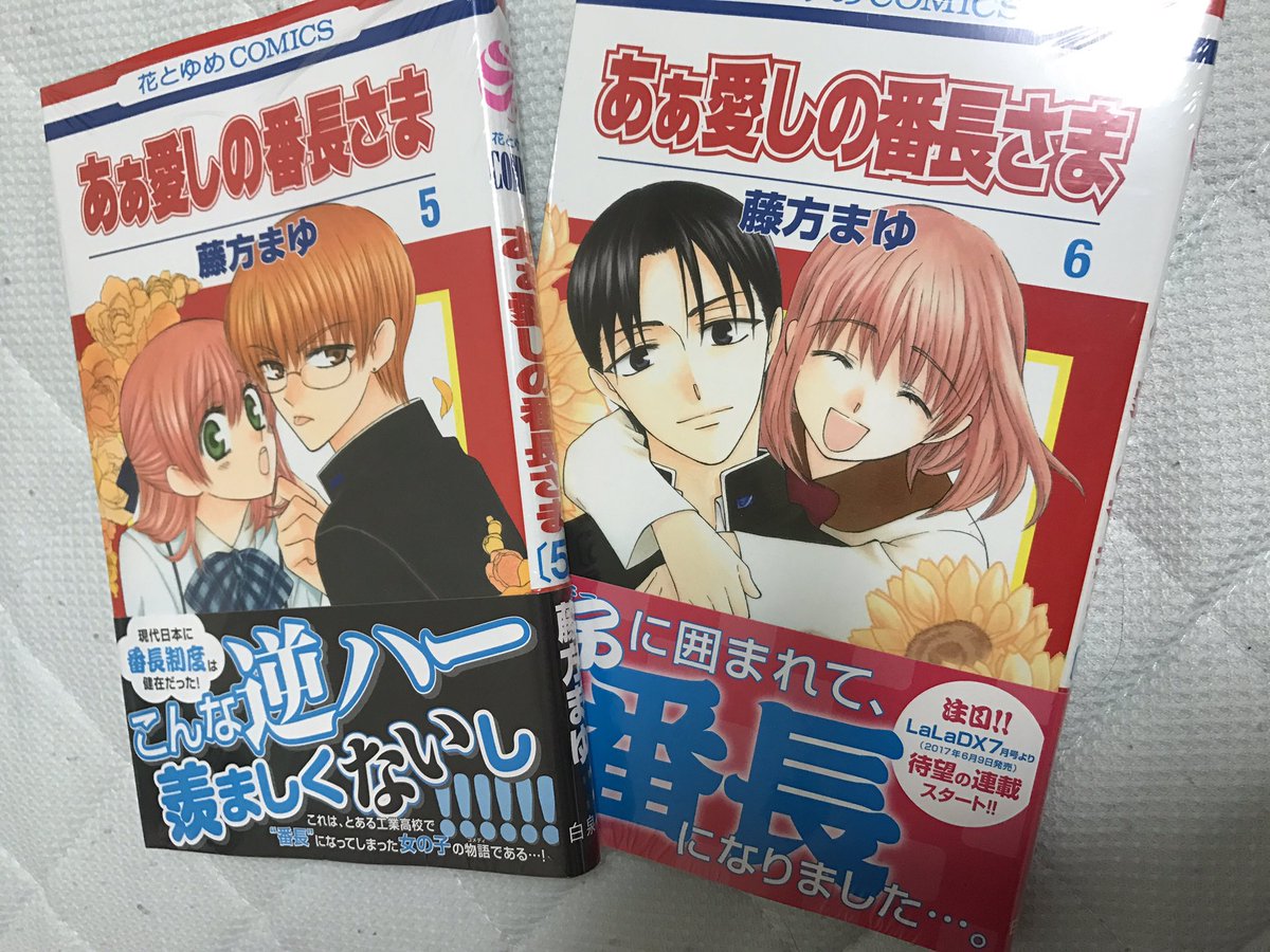 あぁ愛しの番長さま あぁ愛しの番長さま