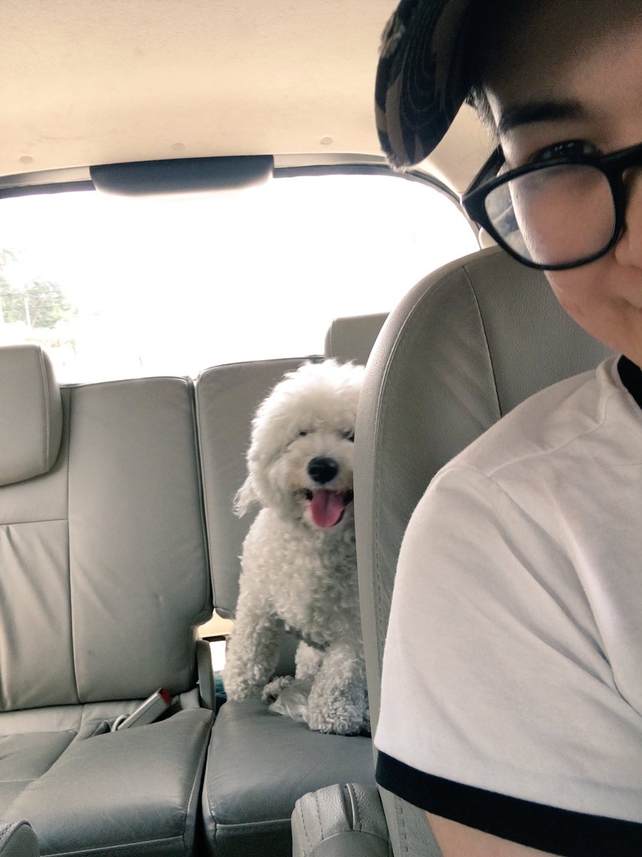 nonaclemente's tweet photo. Here's Ashton all grimy and limping before I took him to the vet. He knows I love him. He trusts me. I'm his family and he is safe with me. https://t.co/iEkePWwikn