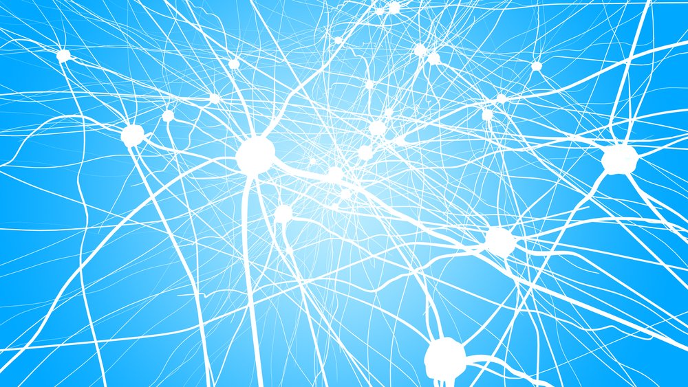 bruker's tweet photo. #rsfMRI #AnalysesTechniques Clarify Whole-brain #FunctionalNetworks https://t.co/wOe2VHPFkg #anesthesia #brainconnections #Bruker https://t.co/EhreGVrZaS