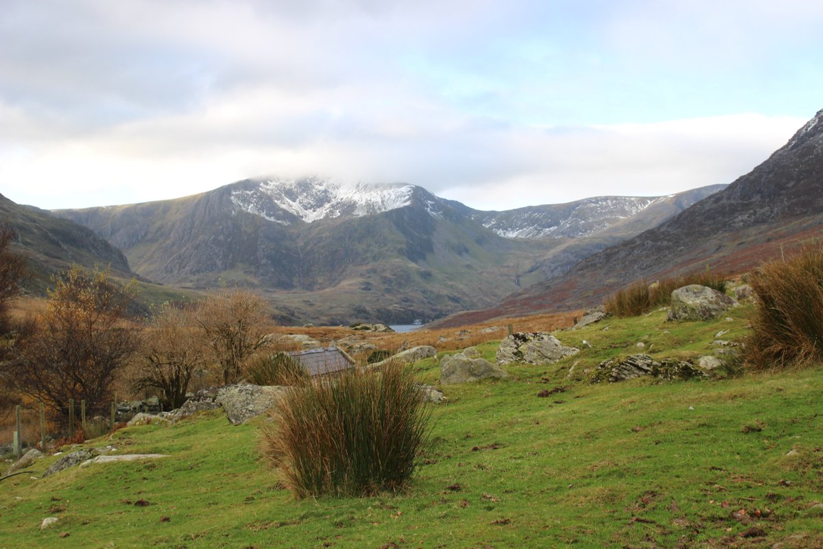 SeneddClimate's tweet photo. Assembly's In Brief blog about the European Commission's new 'Action Plan' for improving the EU #NatureDirectives  https://t.co/kSjz7fSdxF https://t.co/JX4uQeQLBA