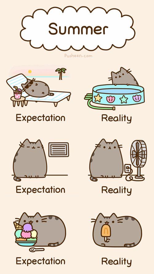 manyessays's tweet image. Summer #expectationreality