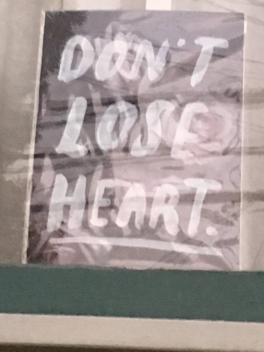 Photo by Rebecca Solnit #dontloseheart