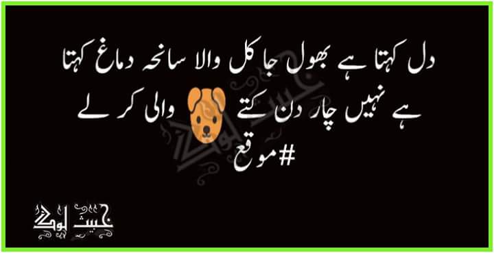 dimplegirl59's tweet photo. #mouqa 😂😂😂😂 @TwitterIndia 😂😂😂 https://t.co/SYDHrgpxjE