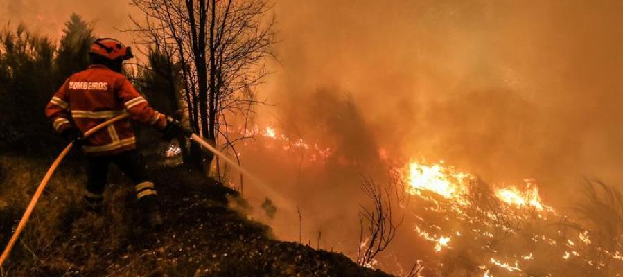 WWFespana's tweet photo. Sobre la tragedia de Portugal: los grandes incendios forestales no se combaten, se previenen https://t.co/6uAxzFiQQd https://t.co/xJMpEQetR0