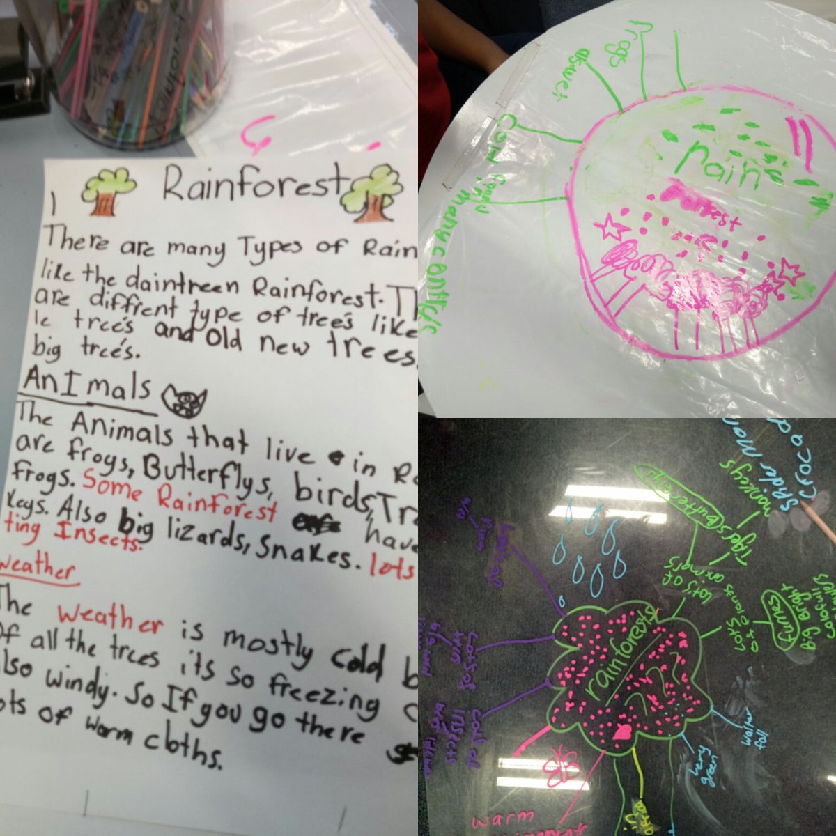 Hayley_SRPS's tweet photo. Future focused learning in 3/4PH. Students following their inquiry thoughts during SOLE #sustainablefuture @bartonmd70 @MarilynFriedri1 https://t.co/ymkzNzNCXr