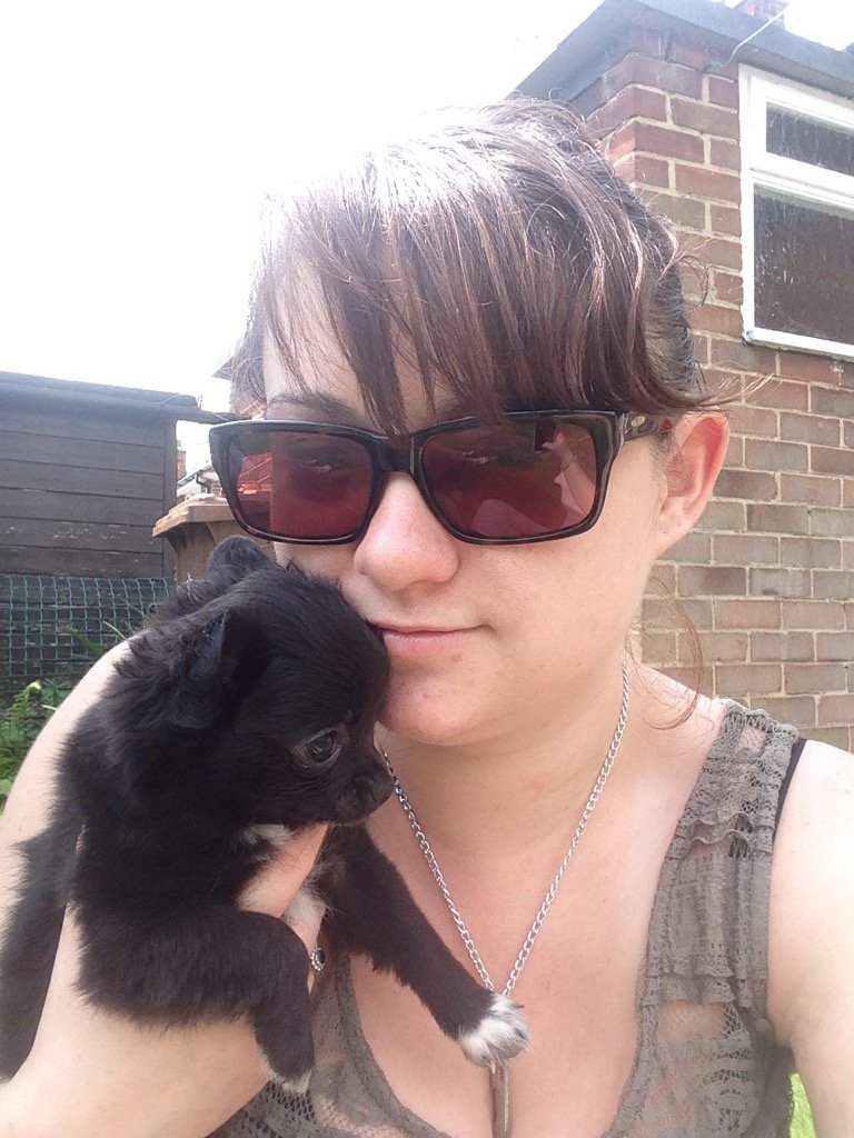 KatherineNevitt's tweet photo. I've got a puppy 😍 https://t.co/qJc2rABqum