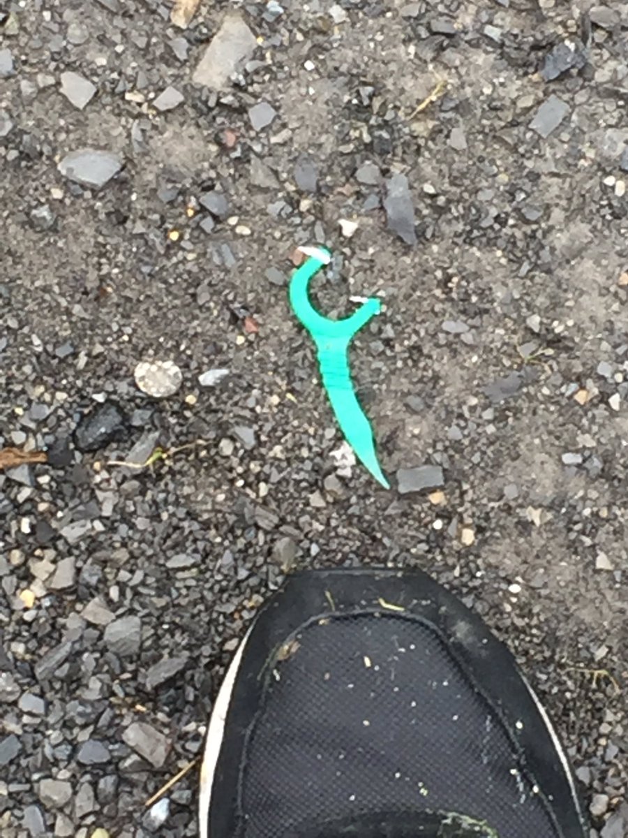Bob_of_Skull's tweet photo. River road just outside of #SenecaFalls #NewYork #cleanteethdirtystreets #bustd @Montygog https://t.co/VfgHCvUoLF