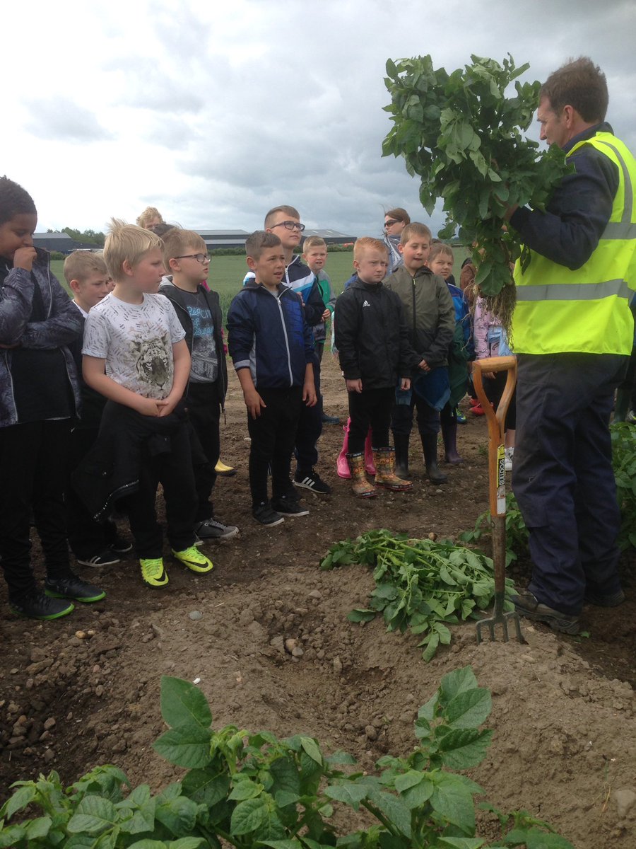 RHET_Lothian's tweet photo. Joint Super Sonic Spuds project winners Murrayburn PS on potato farm visit @DPGEastLothian @TheRHET @MurrayburnP @Scotmid https://t.co/i62ch7orDn