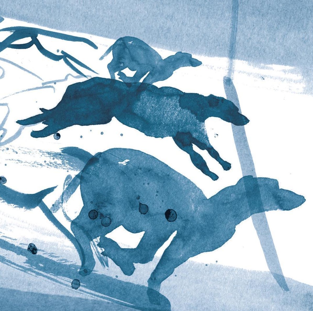 Immi Harpers beautiful work about the last ever dog races.