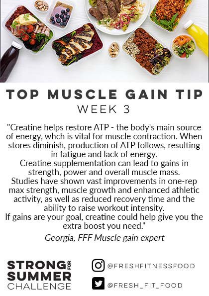 fresh_fit_food's tweet photo. They key to creatine, and why it can help boost muscle gain... #StrongforSummer https://t.co/gaur0f0T3m