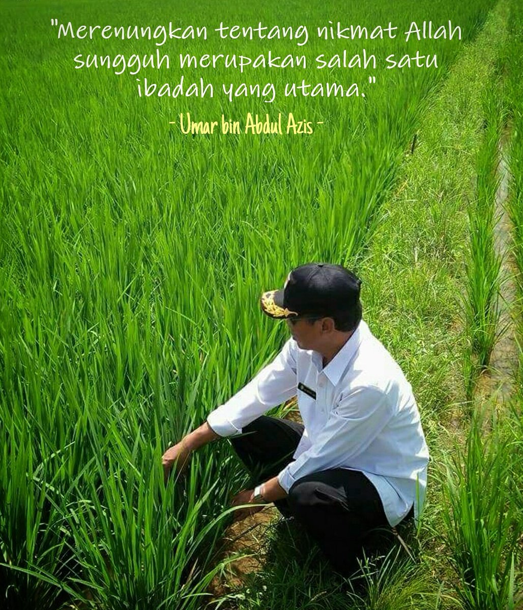 Quote of the Day .....